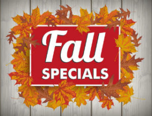 fall specials banner