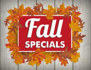 Check Out Our Special Offers - Ann Arbor MI - Clean Sweeps of Michigan fall specials banner